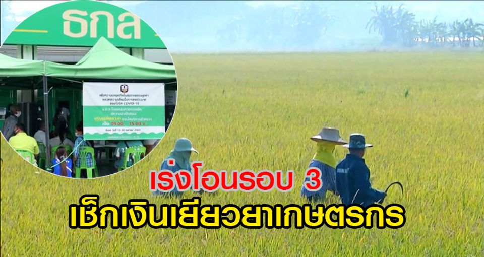 เช็กเงินเยียวยาเกษตรกร รอบ 3 เดือนกรกฎาคม 15,000 บาท เริ่ม ...