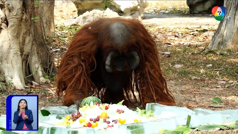 สะเก็ดข่าว : เย็นกว่า