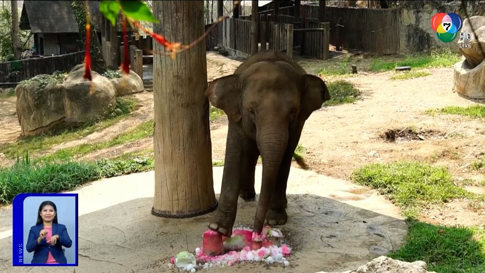 สะเก็ดข่าว ประจำวันที่ 25 มีนาคม 2564