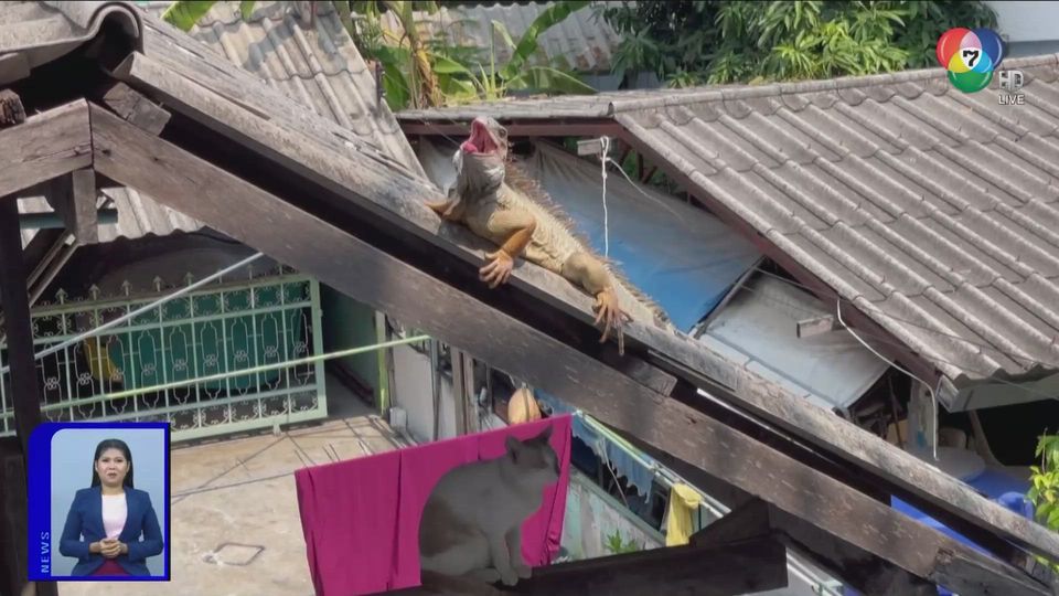 สะเก็ดข่าว : ออกมาเที่ยว