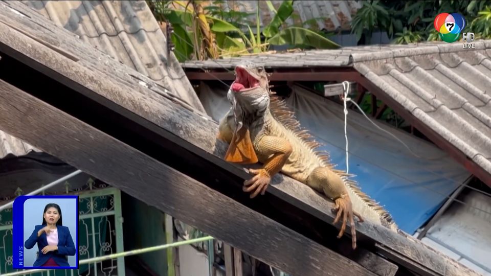 สะเก็ดข่าว ประจำวันที่ 26 มีนาคม 2564