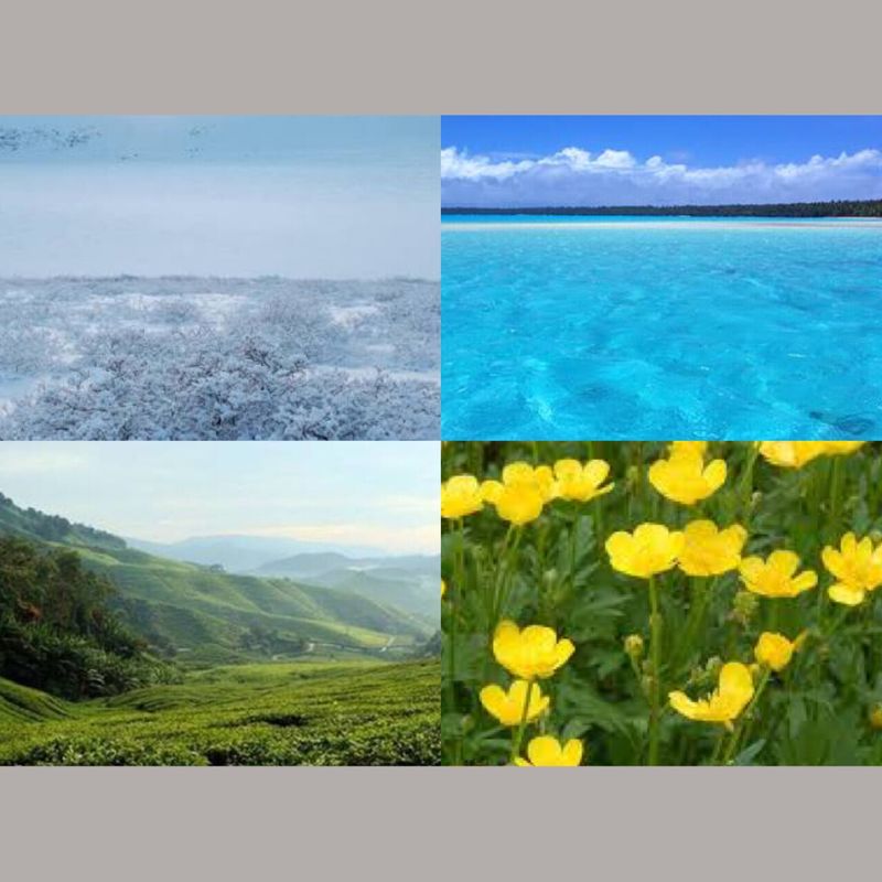 ทายใจทายนิสัย แบบทดสอบพรสวรรค์ที่ซ่อนอยู่ในตัวเอง
