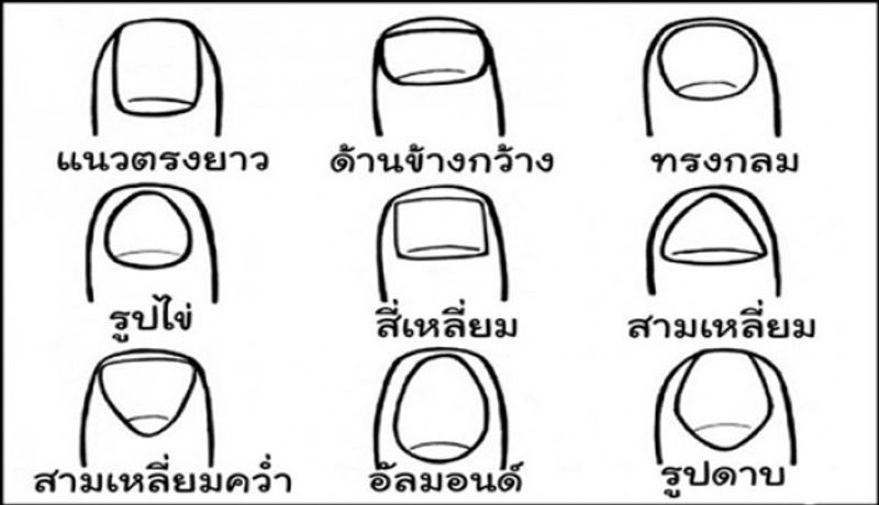 ทายใจทายนิสัย จากรูปร่างเล็บ