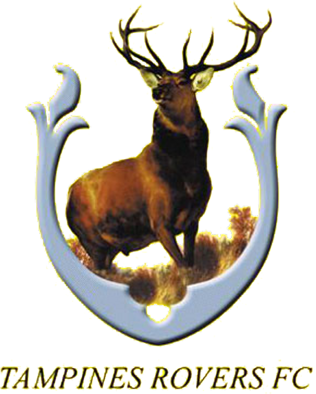 pic แทมปิเนสโรเวอร์ส à¸Ÿ à¸•à¸šà¸­à¸¥ à¹€à¸­à¹€à¸­à¸Ÿà¸‹ à¸„ à¸ž 2016 à¹à¸—à¸¡à¸› à¹€à¸™à¸ª à¹‚à¸£à¹€à¸§à¸­à¸£ à¸ª à¸žà¸š à¹€à¸šà¸™à¸à¸²à¸¥ à¸£